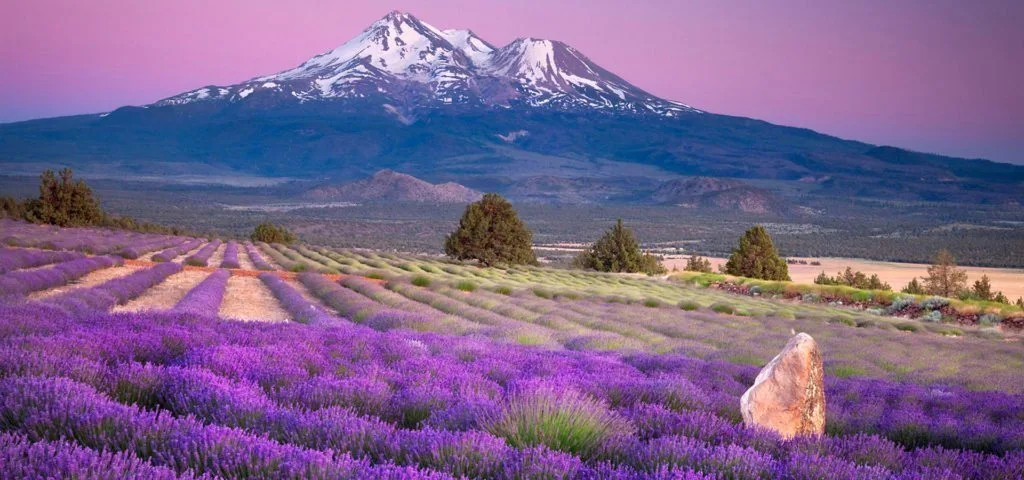 Provence small group tours