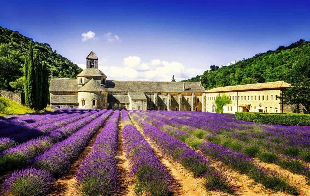 PROVENCE-min